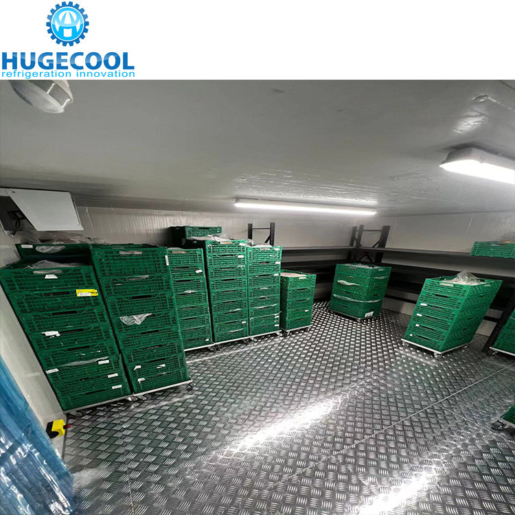 Customized Cold Storage Room Chiller Freezer Room With Condensing Unit Compressor