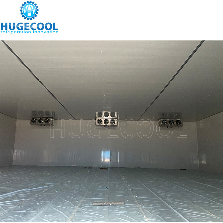 Seafood Cold Storage Meat Ice Cream Freezer Cold Room