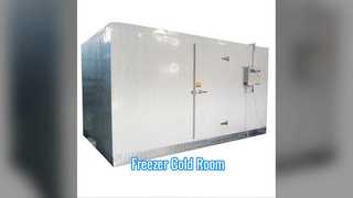 Tủ đông Phòng lạnh Lưu trữ Subzero Thời hạn sử dụng kéo dài