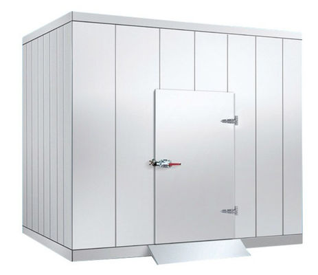 Maximize Your Storage Efficiency with Refrigerator Cold Storage and Hinged Door