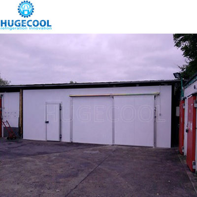 40~42KG/M3 Density Freezer Cold Room with 500 KG Capacity and Full Automatic Control System for Cold Storage