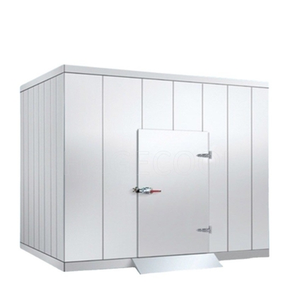 Cold Storage Walk in Cooler in South Africa Suitable for Small Home Using Modular Walk