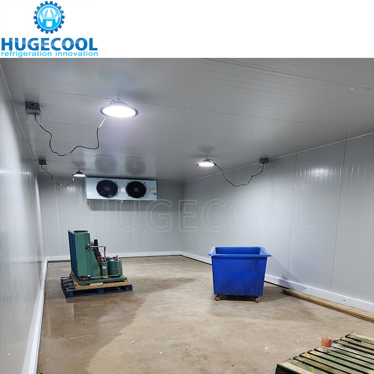 cold room /walk in freezer storage high efficiency cold storage for seafood