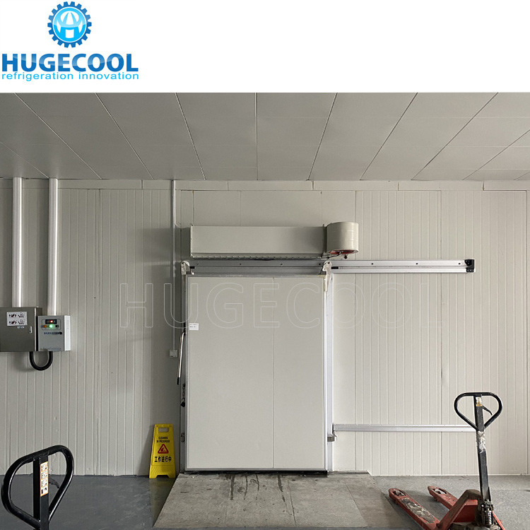 Cold Room For Fruits And Vegetable Fish Meat Seafood Storage Keep Cool Room