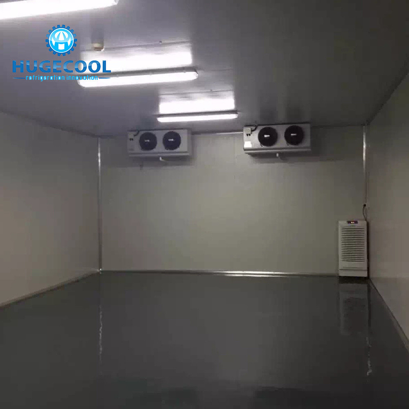 Structure Assembled Freezer Cold Room for Frozen Fish Storage Temperature Range -10 to 0C