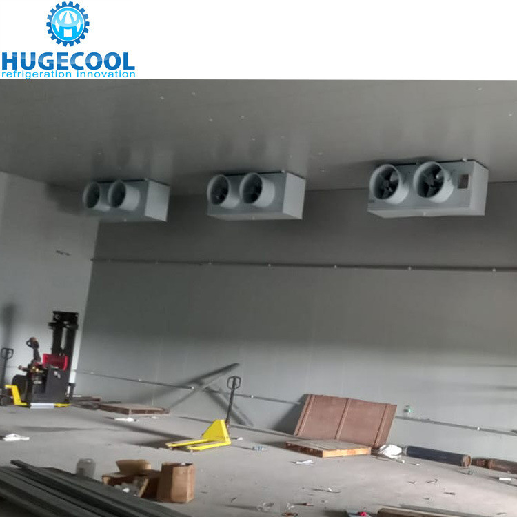 Structure Assembled Freezer Cold Room for Frozen Fish Storage Temperature Range -10 to 0C