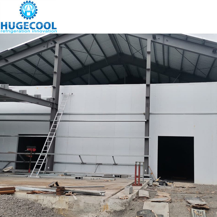 Structure Assembled Freezer Cold Room for Frozen Fish Storage Temperature Range -10 to 0C