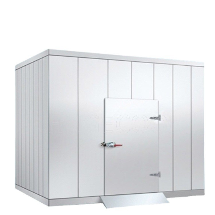 Cold Storage Walk in Cooler in South Africa Suitable for Small Home Using Modular Walk