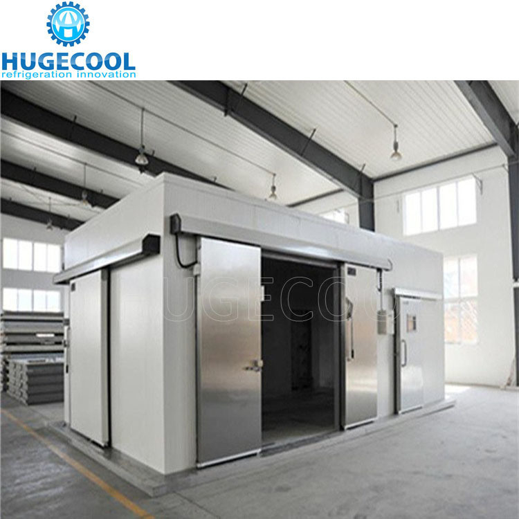 Blood Blast Freezer Cold Storage Room -40--18c Nature Production for Meat Fish Sea Food